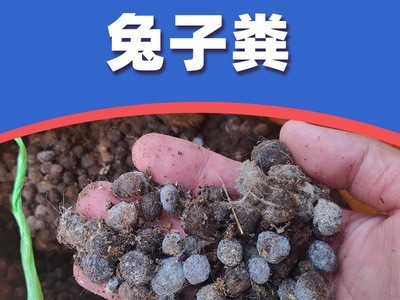 厂家批发兔子粪颗粒 发酵兔粪有机肥 广东福建地区大量供应图4