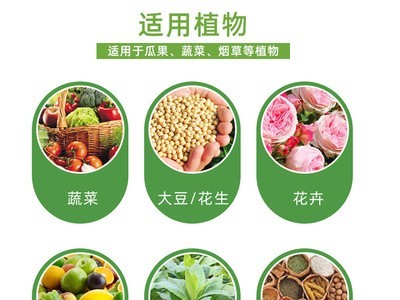 天下农商农产特供信息属于天下农商平台 Www Txns16 Com 包含蔬菜 水果 禽畜肉蛋 粮油米面 农资农机 种子种苗 水产 农副加工等产品类目 为广大商家企业提供更便捷的交易方式