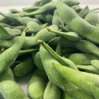 速冻毛豆荚 冷冻毛豆荚 山东厂家现货供应冷冻鲜毛豆大量批发