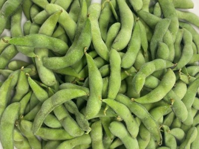 速冻毛豆荚 冷冻毛豆荚 山东厂家现货供应冷冻鲜毛豆大量批发图2