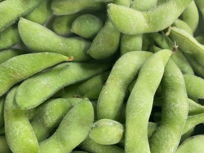 批发毛豆荚 冷冻毛豆荚 速冻毛豆荚出口品质冷冻鲜毛豆现货供应图2