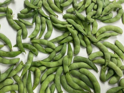 批发毛豆荚 冷冻毛豆荚 速冻毛豆荚出口品质冷冻鲜毛豆现货供应图3