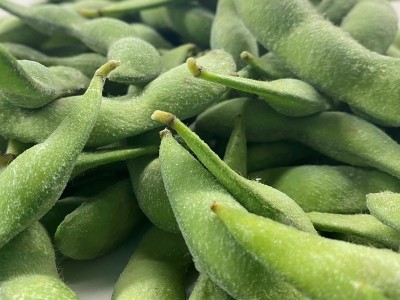 批发毛豆荚 冷冻毛豆荚 速冻毛豆荚出口品质冷冻鲜毛豆现货供应图4