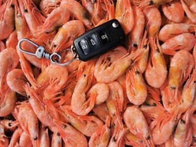 北极甜虾元宝虾带籽北极虾冰虾80/100净重4斤 冰虾图3