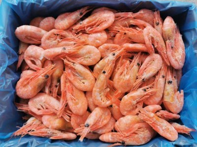 北极甜虾元宝虾带籽北极虾冰虾80/100净重4斤 冰虾图5