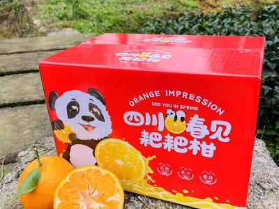 【彩箱】新鲜水果果园直供四川眉山春见耙耙柑非果冻橙图4
