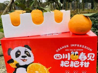 【彩箱】新鲜水果果园直供四川眉山春见耙耙柑非果冻橙图2