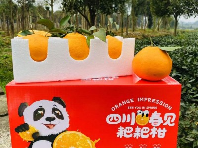 【彩箱】新鲜水果果园直供四川眉山春见耙耙柑非果冻橙图5
