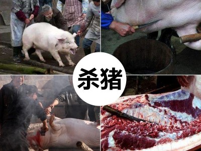 湖北荆州特产松滋腊肠香肠 灌肠土猪肉咸腊肉农家烟熏纯手工自制图2
