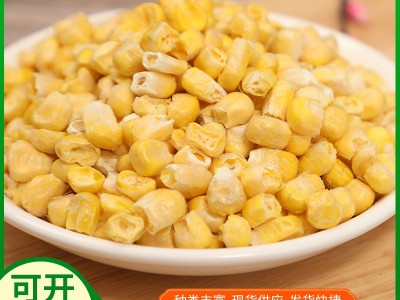 玉米 FD 烘干脱水冻干玉米粒 香甜酥爽脱水蔬菜甜玉米丁图3
