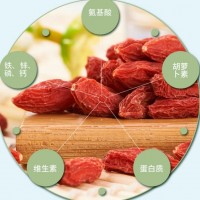 色泽红艳颗粒饱满的宁夏红枸杞