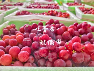 甜脆新疆好葡萄吐鲁番火焰山玻璃翠无核白双拼图5