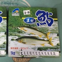 香鱼日本料理食材香鱼新鲜活冷冻清流女王一盒2斤 1000g