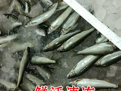 香鱼日本料理食材香鱼新鲜活冷冻清流女王一盒2斤 1000g图3