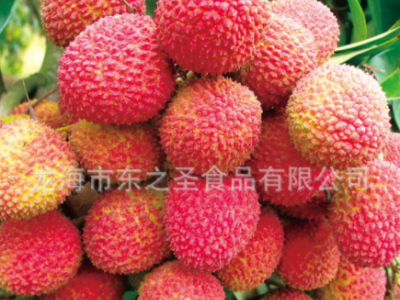 【冷冻水果】速冻 菠萝 荔枝 芒果 出口图3