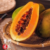雷州树上熟冰糖红心木瓜5斤 新鲜水果