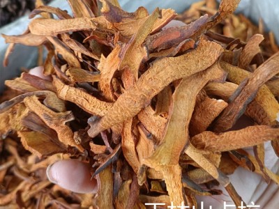 广西骨碎补 爬岩姜 石岩姜 接骨猴姜 申姜肉碎补大量批发一件代发图5