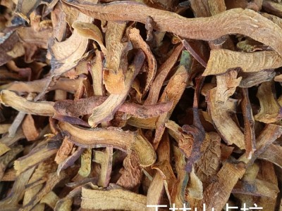 广西骨碎补 爬岩姜 石岩姜 接骨猴姜 申姜肉碎补大量批发一件代发图4