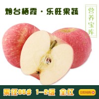 【本地】烟台苹果85# 1-2级 5斤装 10-12个装 含运费价格 25元/箱