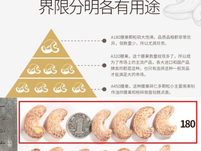 越南进口W180零食果干A180 盐焗腰果 坚果罐装腰果仁批发散装500g图3