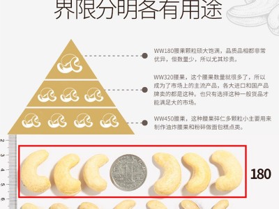 越南腰果坚果仁果干进口零食批发散货生腰果仁特产食品白果原味图3