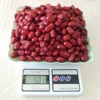金丝小枣5斤整箱散装批发沧州干红枣孕妇零食小枣子煮粥煲汤火锅