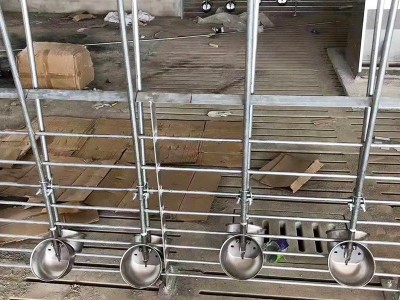 猪用不锈钢饮水碗用304饮水器养殖饮水设备家禽自动饮水器图4