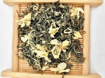 茶叶蜀玖源飘雪 茉莉花茶 伏天茉莉花 茉莉飘雪全单芽批发图4