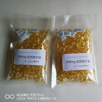 批发灵芝孢子油 500mg/300mg 【顺丰包邮】