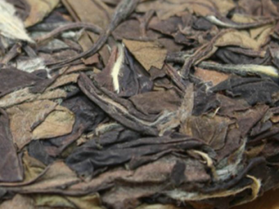 福鼎白茶 陈年老茶叶 陈年贡眉老白茶饼350g图4
