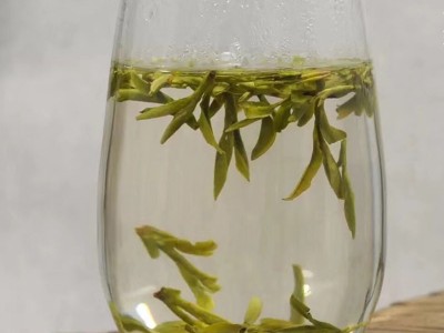 绿茶新茶龙井绿茶 明绿茶新茶龙井绿茶图5