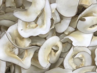 【海底椰片】产地批发 煲汤食材量大从优招 2件起批图5