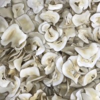 【海底椰片】产地批发 煲汤食材量大从优招 2件起批