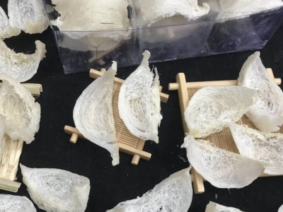 燕窝 马来印尼燕盏燕条三角盏燕燕碎滋补品 品质燕窝图3