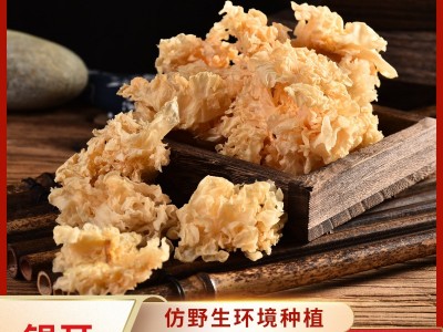 新货银耳椴木菌菇干货500g白木耳山珍特产雪耳干泡发糯耳批发图2