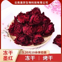 云南特产食用玫瑰花果茶产地冻干墨红玫瑰整朵散装新货批发