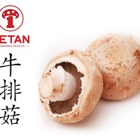 德添牛排菇 褐菇 早餐菇portebella