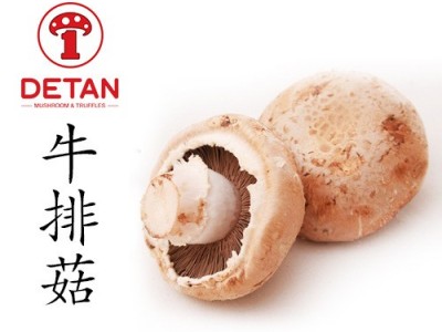 德添牛排菇 褐菇 早餐菇portebella图2