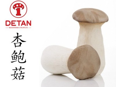 德添杏鲍菇 大帽盖 瓶栽杏鲍菇杏鲍菇 Eryngii图4