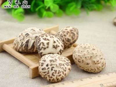 供应香菇白花菇 【厂家直销】图3