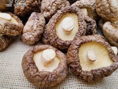 供应香菇 农家飘香干货光面菇图2