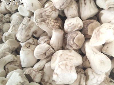 批发优质香菇腿香菇脚、厂家直销、提供现货、点击进店图3