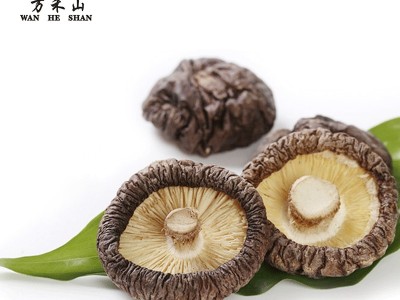 供应湖北香菇 农家干货光面菇图2