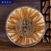 干虫草10g装冬虫夏草 冻干虫草无瘪草无断草冻干草大量批发招