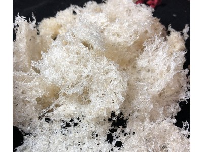 囊丝燕碎 食用网状结构丝柔燕窝滋补品 白燕鲜炖用燕窝批发图3