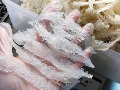 干燕盏燕窝代发长丝肉条 干挑大燕条鲜炖食材滋补品干挑燕条批发图4