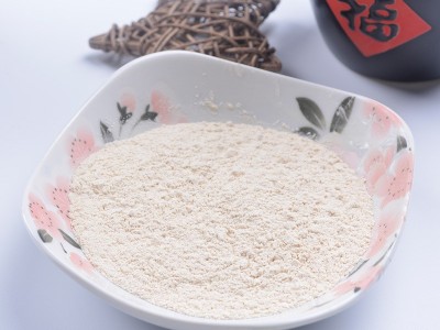 厂家供应 多种规格 脱水大蒜粉 调味大蒜粉批发销售图3