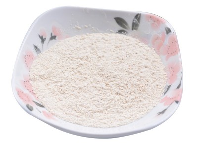 厂家供应 多种规格 脱水大蒜粉 调味大蒜粉批发销售图5