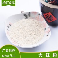 厂家供应 多种规格 脱水大蒜粉 调味大蒜粉批发销售