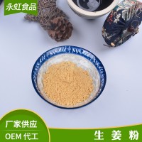 厂家供应 多种规格 脱水生姜粉 调味生姜粉 可定制
